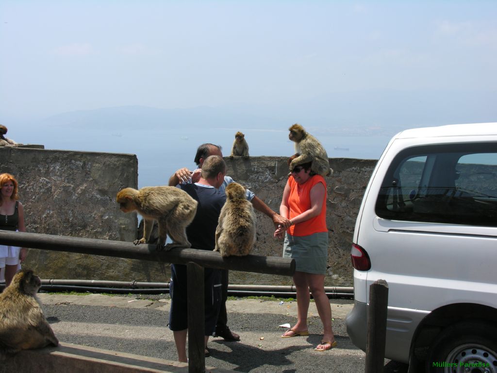 Gibraltar